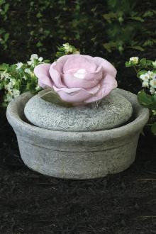 #3937 Fountainette Parva – Rose