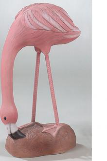 #2955 Flamingo - Feeding