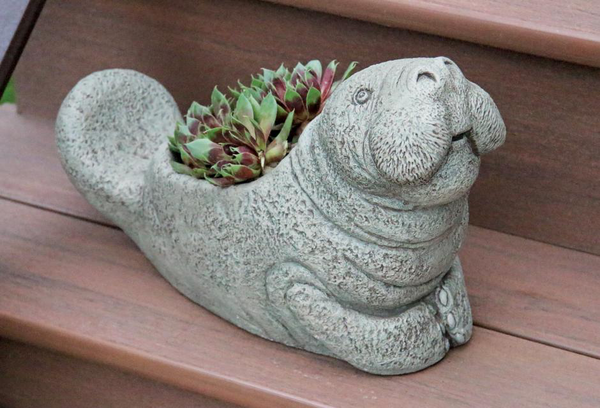 #6590 Marco the Manatee Planter