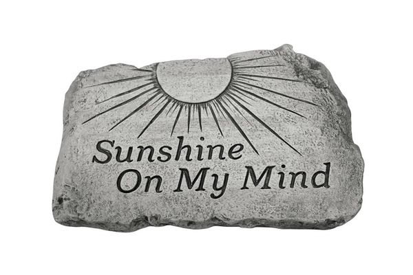 #1804 10" Stone - Sunshine On My Mind