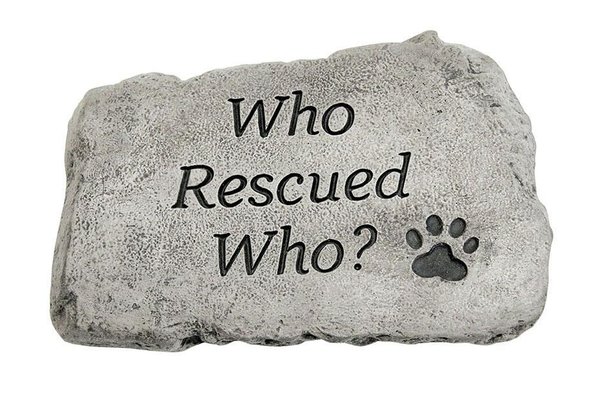 #1779 10" Stone - Who Rescued Who